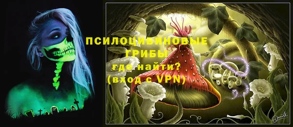 COCAINE Гусь-Хрустальный