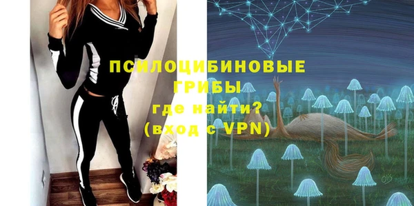 стаф Дмитриев