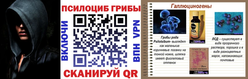 Галлюциногенные грибы Psilocybe  Купить закладки  Луховицы 